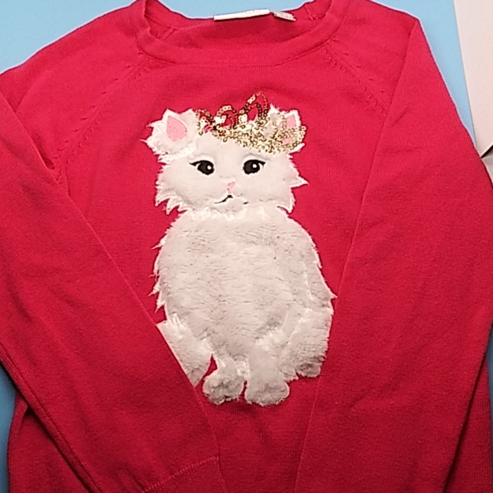 Girls cat sweater..